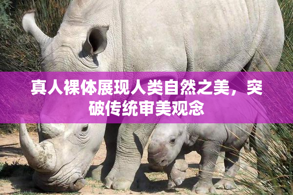 真人裸体展现人类自然之美，突破传统审美观念
