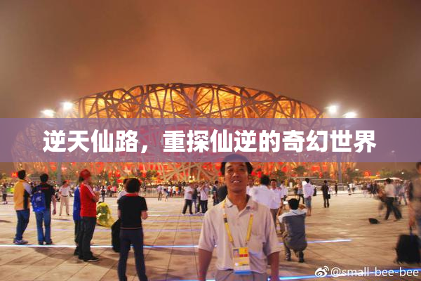 逆天仙路，重探仙逆的奇幻世界
