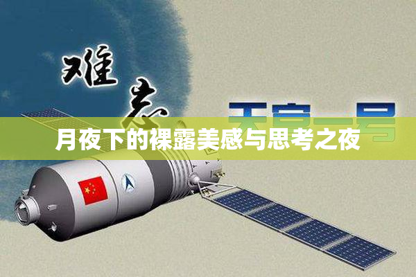 月夜下的裸露美感与思考之夜