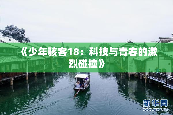 《少年骇客18：科技与青春的激烈碰撞》