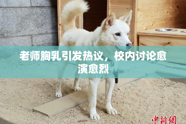 老师胸乳引发热议，校内讨论愈演愈烈