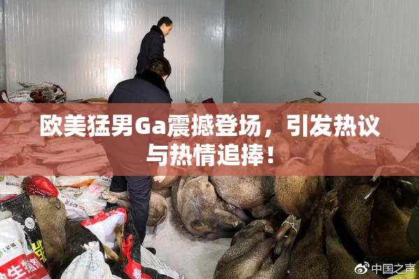 欧美猛男Ga震撼登场，引发热议与热情追捧！