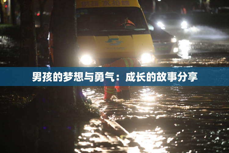 男孩的梦想与勇气：成长的故事分享