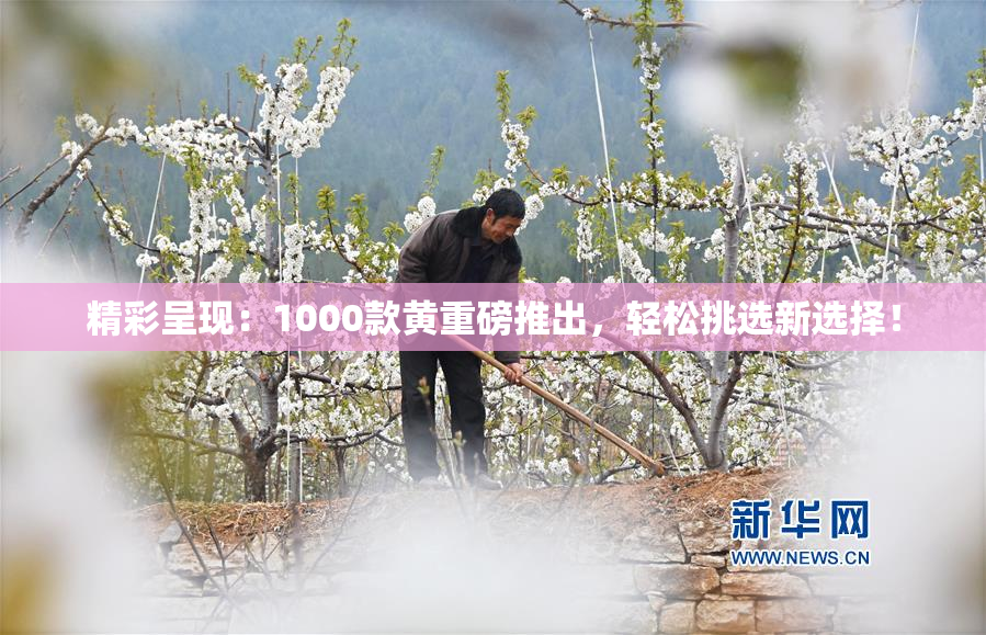 精彩呈现：1000款黄重磅推出，轻松挑选新选择！
