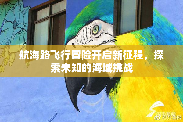 航海路飞行冒险开启新征程，探索未知的海域挑战