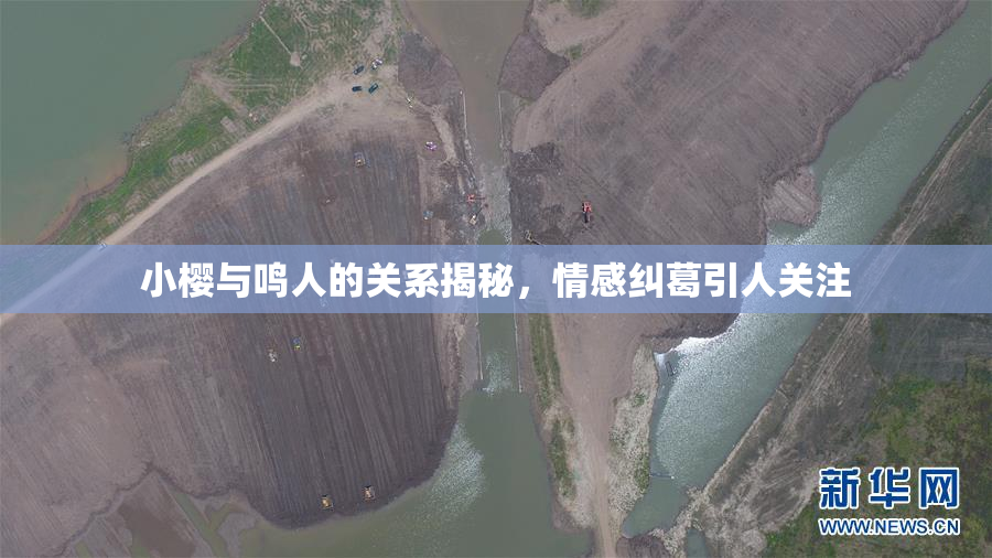 小樱与鸣人的关系揭秘，情感纠葛引人关注