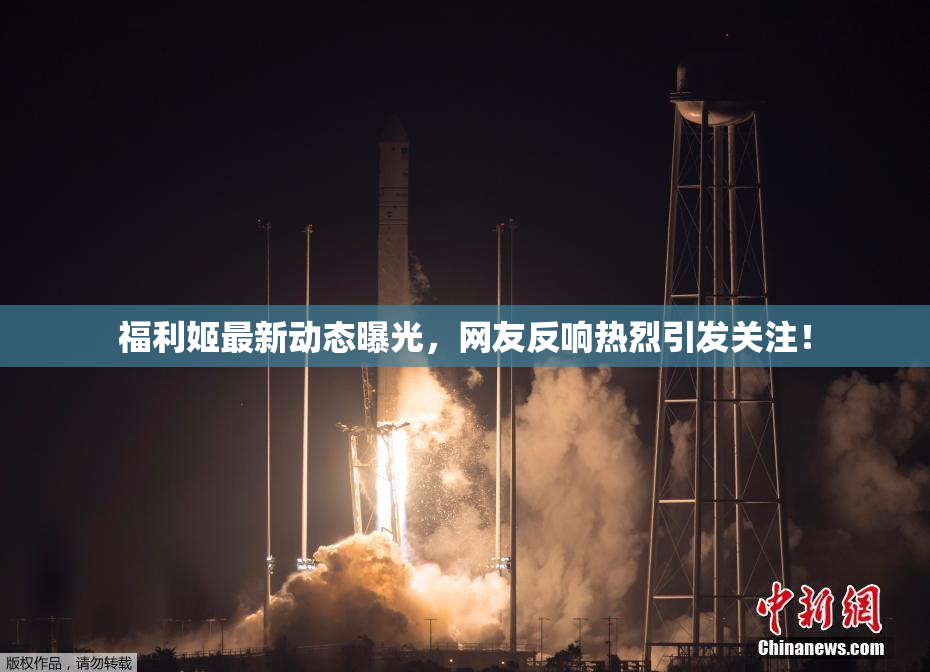 福利姬最新动态曝光，网友反响热烈引发关注！