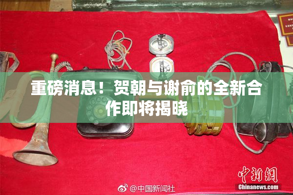 重磅消息！贺朝与谢俞的全新合作即将揭晓
