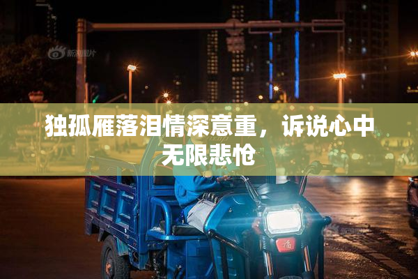 独孤雁落泪情深意重，诉说心中无限悲怆
