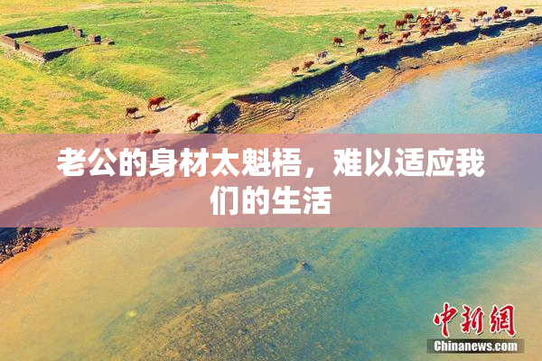 老公的身材太魁梧，难以适应我们的生活