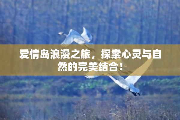 爱情岛浪漫之旅，探索心灵与自然的完美结合！