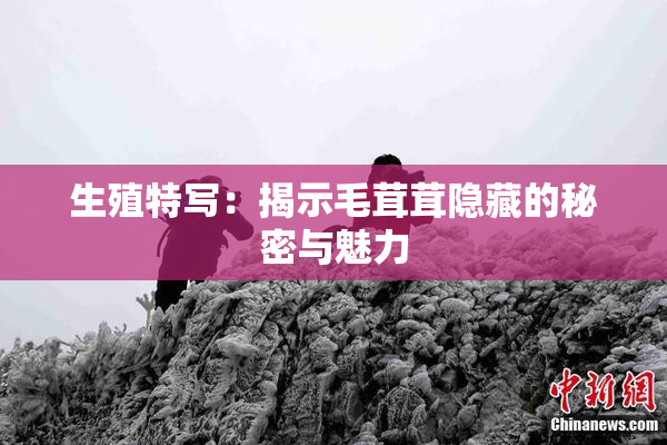 生殖特写：揭示毛茸茸隐藏的秘密与魅力