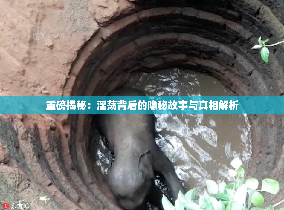 重磅揭秘：淫荡背后的隐秘故事与真相解析