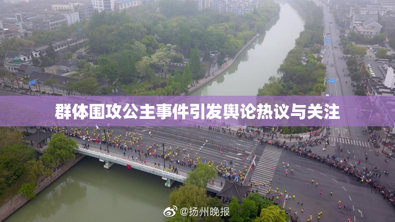 群体围攻公主事件引发舆论热议与关注