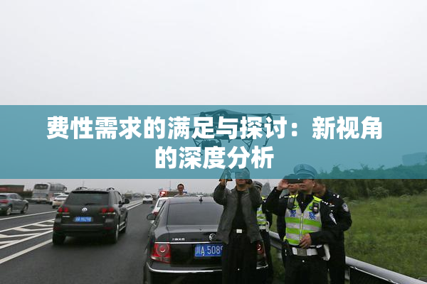 费性需求的满足与探讨：新视角的深度分析