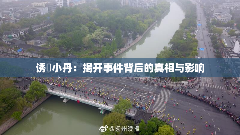 诱奷小丹：揭开事件背后的真相与影响