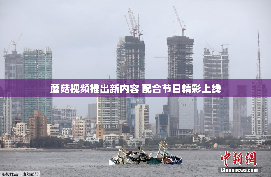 蘑菇视频推出新内容 配合节日精彩上线