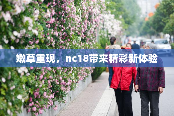 嫩草重现，nc18带来精彩新体验