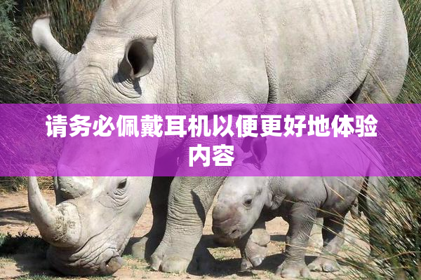 请务必佩戴耳机以便更好地体验内容
