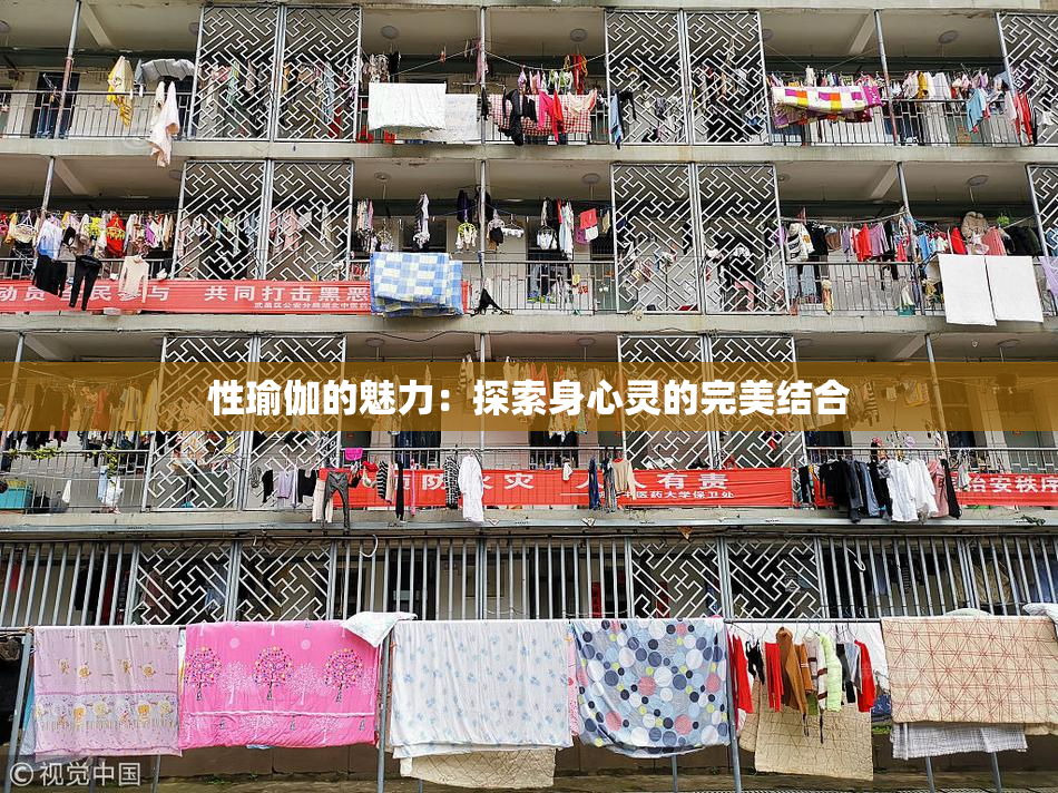 性瑜伽的魅力：探索身心灵的完美结合