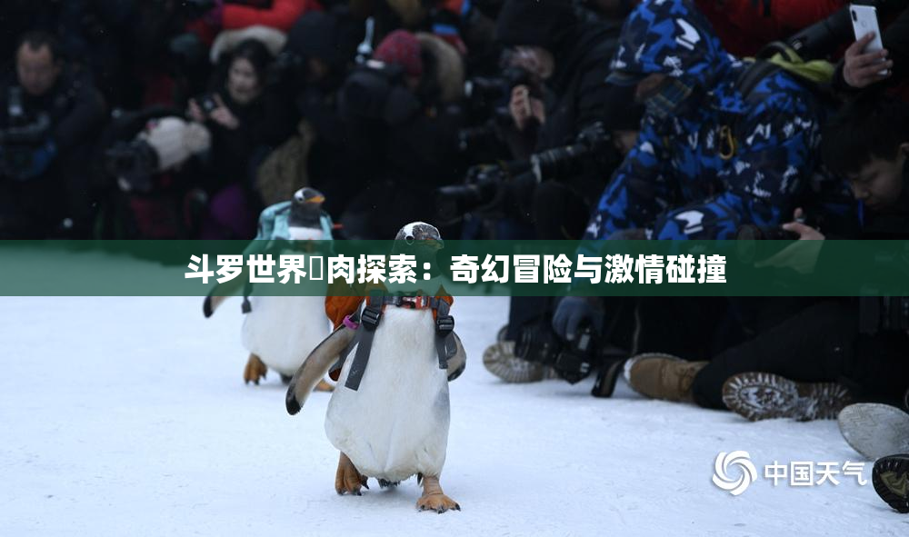 斗罗世界婬肉探索：奇幻冒险与激情碰撞