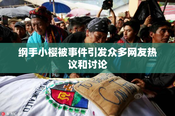 纲手小樱被事件引发众多网友热议和讨论