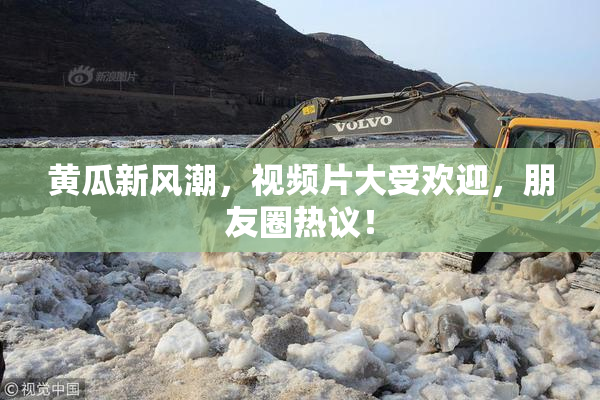 黄瓜新风潮，视频片大受欢迎，朋友圈热议！