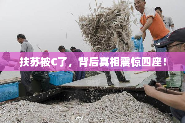 扶苏被C了，背后真相震惊四座！