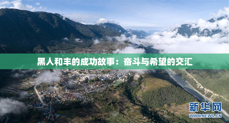 黑人和丰的成功故事：奋斗与希望的交汇