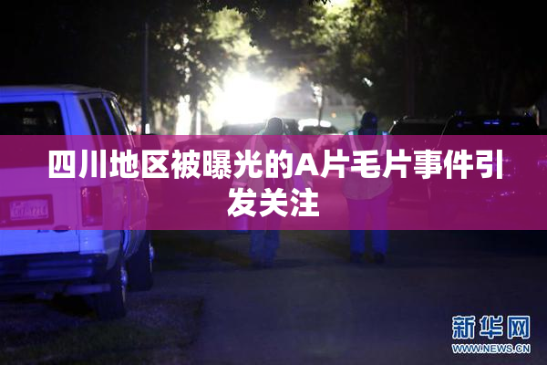 四川地区被曝光的A片毛片事件引发关注