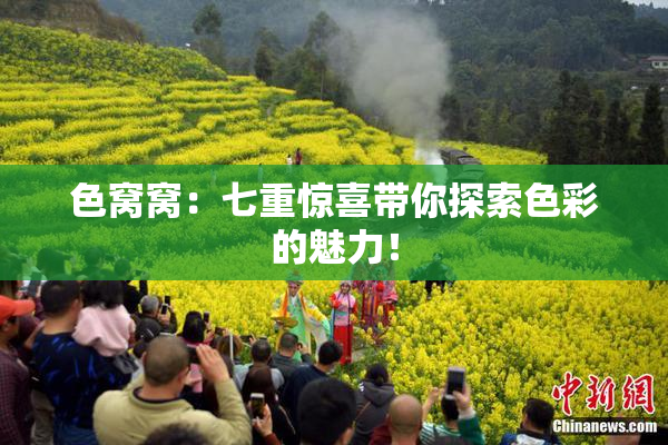 色窝窝：七重惊喜带你探索色彩的魅力！