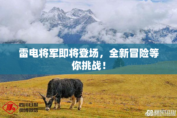 雷电将军即将登场，全新冒险等你挑战！