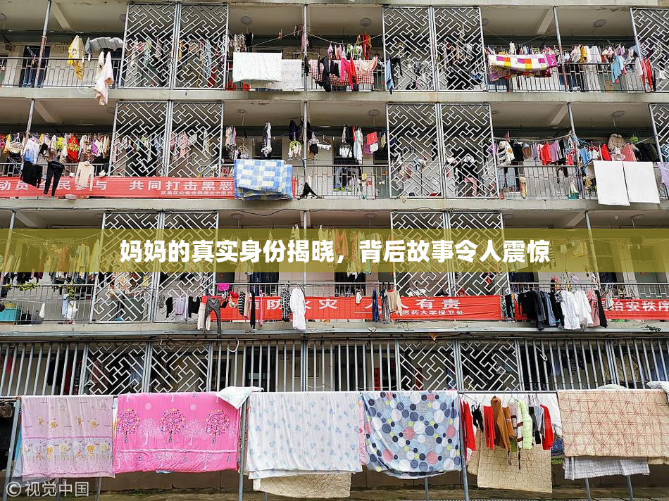 妈妈的真实身份揭晓，背后故事令人震惊