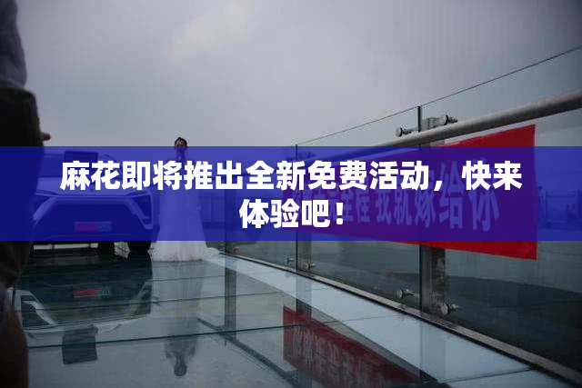 麻花即将推出全新免费活动，快来体验吧！