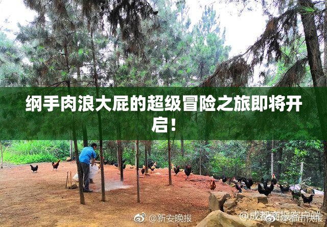 纲手肉浪大屁的超级冒险之旅即将开启！