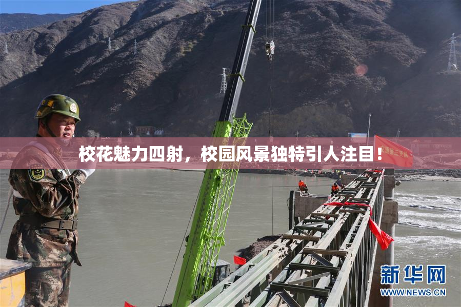 校花魅力四射，校园风景独特引人注目！