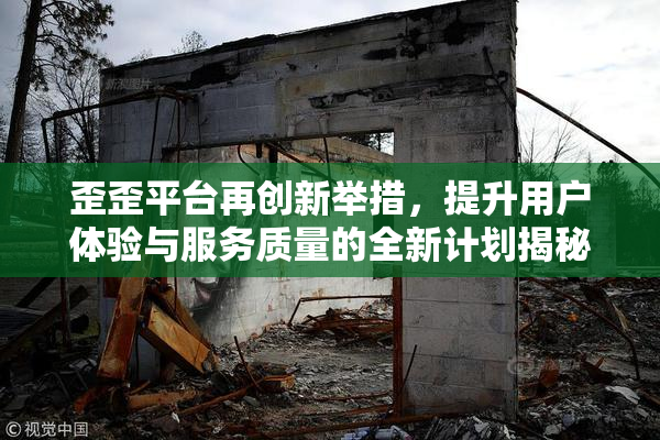 歪歪平台再创新举措，提升用户体验与服务质量的全新计划揭秘