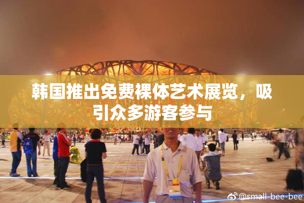 韩国推出免费裸体艺术展览，吸引众多游客参与
