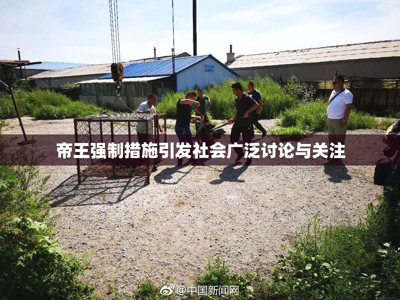 帝王强制措施引发社会广泛讨论与关注