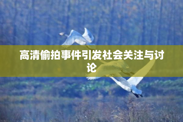 高清偷拍事件引发社会关注与讨论
