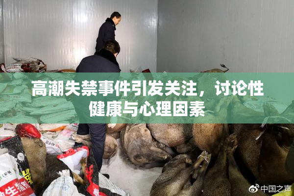 高潮失禁事件引发关注，讨论性健康与心理因素