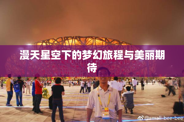 漫天星空下的梦幻旅程与美丽期待