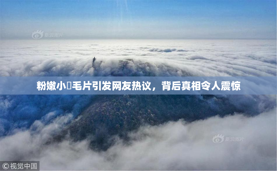 粉嫩小泬毛片引发网友热议，背后真相令人震惊