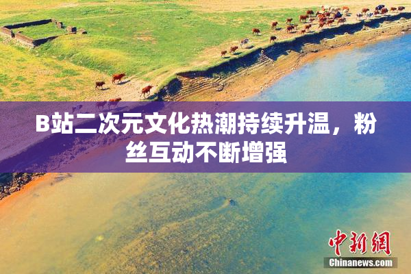 B站二次元文化热潮持续升温，粉丝互动不断增强