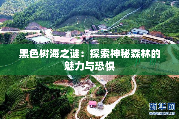 黑色树海之谜：探索神秘森林的魅力与恐惧