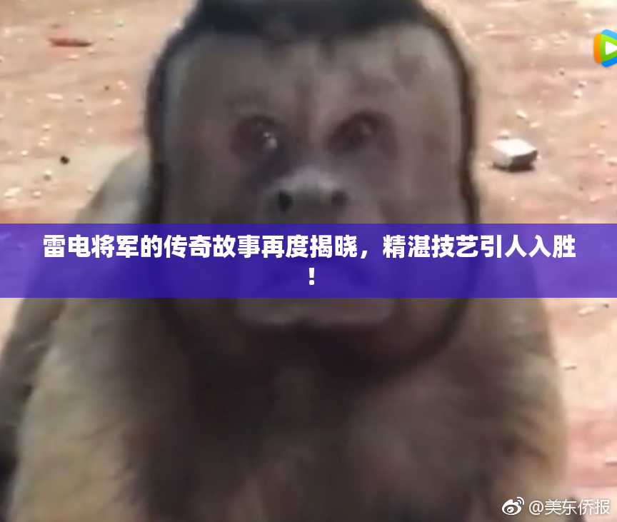 雷电将军的传奇故事再度揭晓，精湛技艺引人入胜！