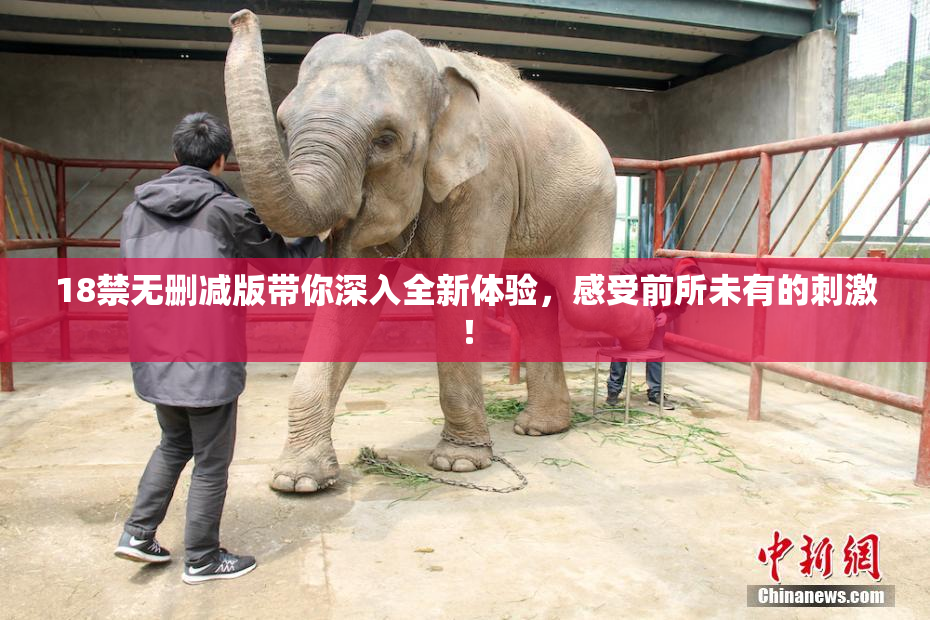 18禁无删减版带你深入全新体验，感受前所未有的刺激！