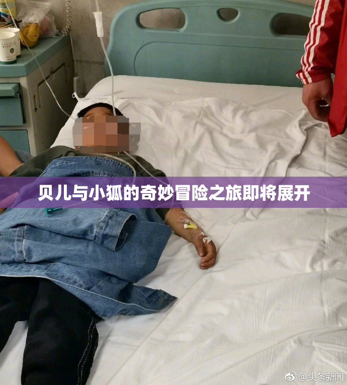 贝儿与小狐的奇妙冒险之旅即将展开