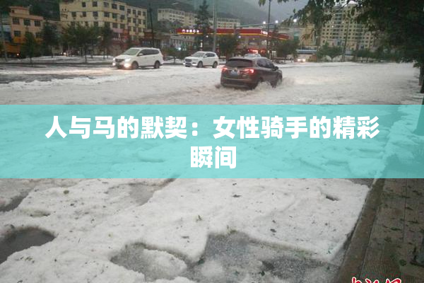 人与马的默契：女性骑手的精彩瞬间