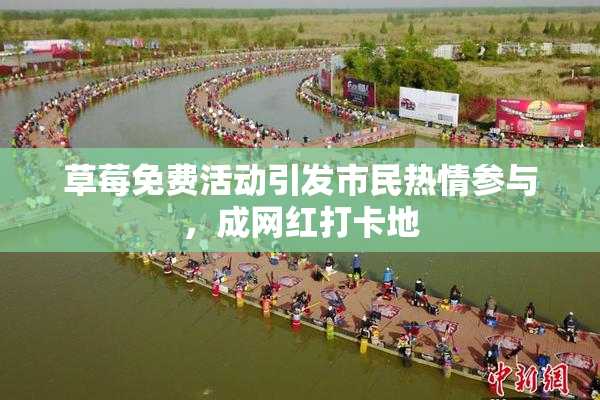 草莓免费活动引发市民热情参与，成网红打卡地